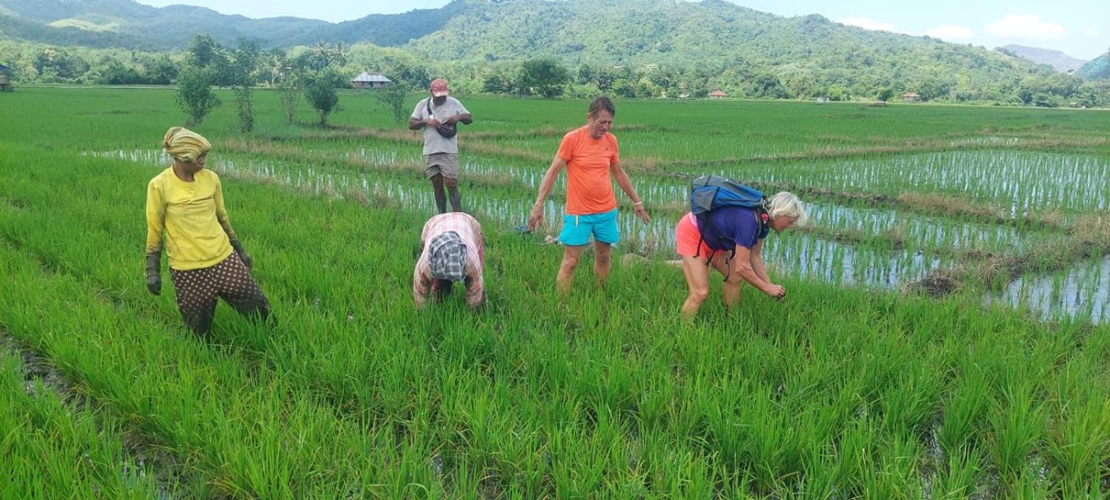 Inang Amang Homestay Labuan Bajo Eksteriør billede